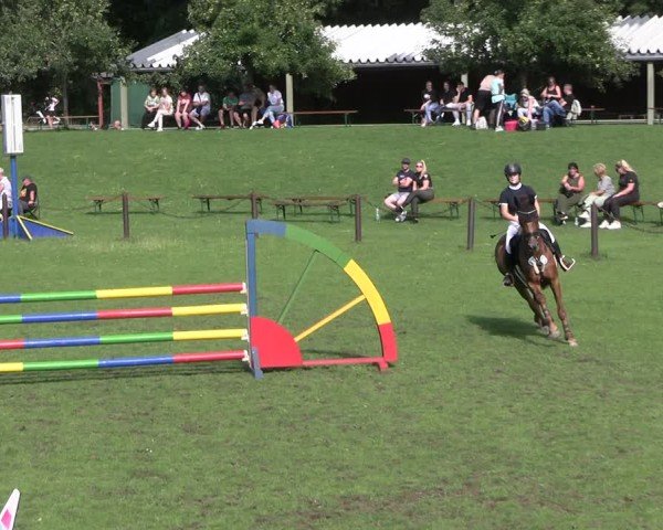 Reitturnier Gallinchen 2025
