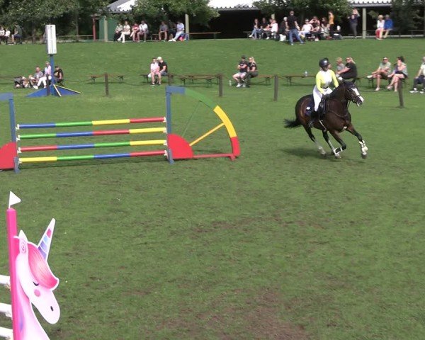 Reitturnier Gallinchen 2025