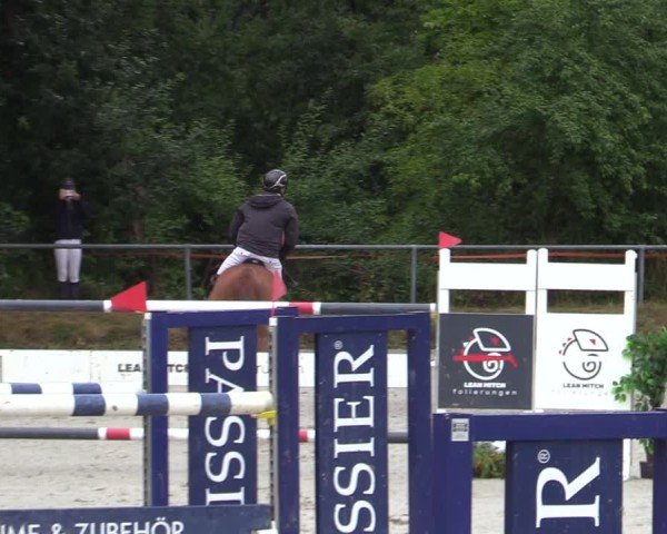 Reitturnier Bad Wildungen 2025