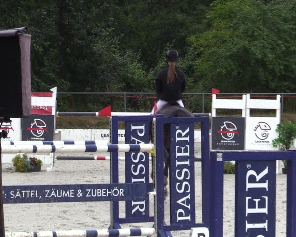 Reitturnier Bad Wildungen 2025