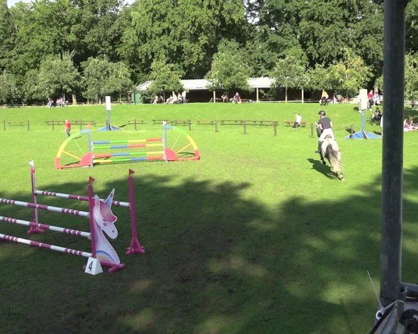 Reitturnier Gallinchen 2025