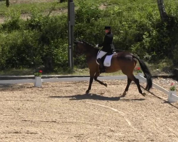 Erkrath - Uhlenhof 2014