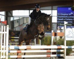 broodmare Chopina VA (Holsteiner, 2014, from Casall Ask)
