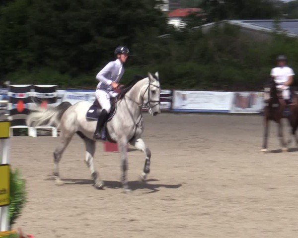 Reitturnier Bad Wildungen 2025