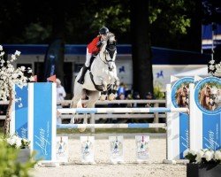 jumper Unbelievable (Oldenburg show jumper, 2014, from Untouchable)