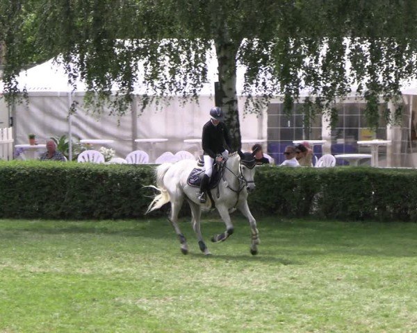 Reitturnier Etingen 2025
