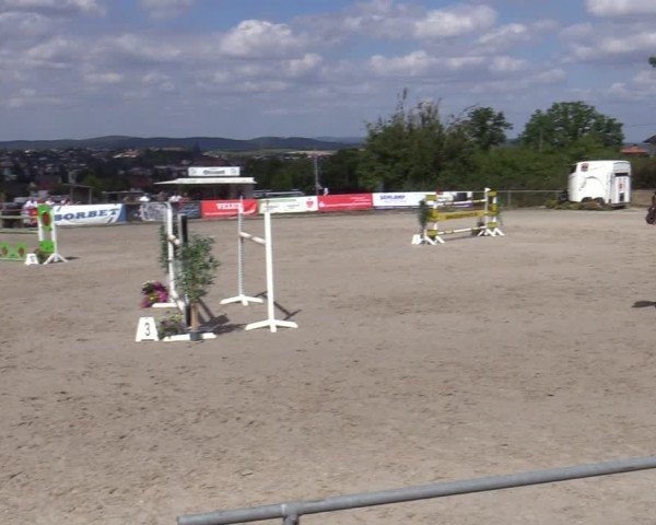 Reitturnier Bad Wildungen 2025