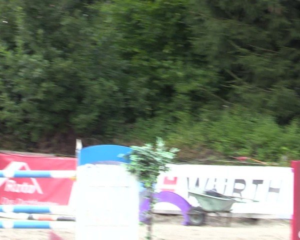 Reitturnier Bad Wildungen 2025