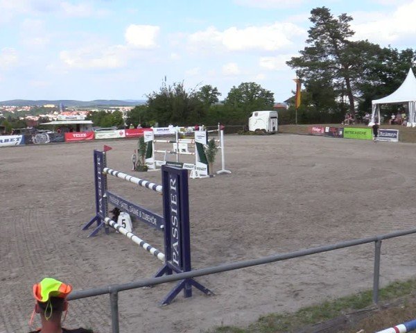 Reitturnier Bad Wildungen 2025