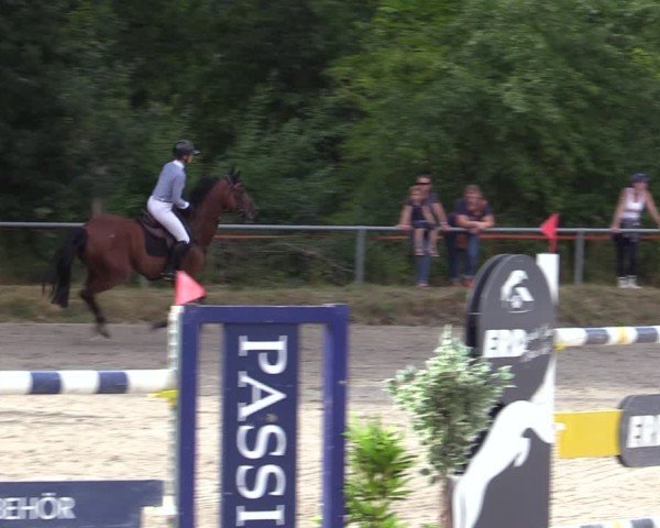 Reitturnier Bad Wildungen 2025