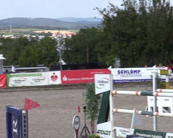Reitturnier Bad Wildungen 2025