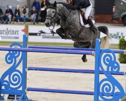 jumper Clearround Il Mondo Z (Zangersheide riding horse, 2016, from Comme il Faut)