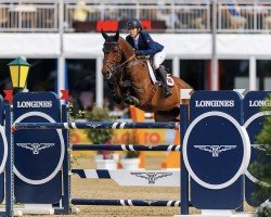 jumper Nelson van 't Roosakker (Belgian Warmblood, 2013, from Zandor Z)