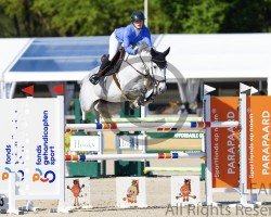 broodmare Lou Lou Jhx (KWPN (Royal Dutch Sporthorse), 2016, from VDL Cardento 933)