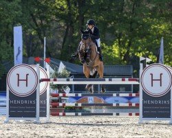 jumper Jm All For Luck (Irish Sport Horse, 2016, from K.e.c. Maximum Joe)