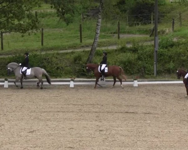 Erkrath - Uhlenhof 2014