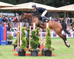 jumper Amérie 2 (Oldenburg show jumper, 2019, from Cafe au lait 2)