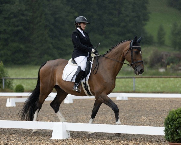 horse Tassja (Bavarian, 2002, from Argentinus)