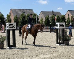 jumper Chapeau 56 (Hanoverian, 2020, from Chacfly PS)
