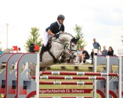 Springpferd Highlight 193 (Holsteiner, 2017, von Hermes de Lux)