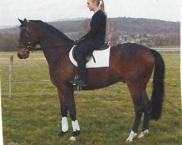 horse Rodrigo 88 (Oldenburg, 2001, from Ruiz Soler)