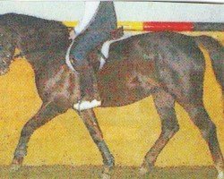broodmare Coco de Channel (Rhinelander, 1999, from Cordino)