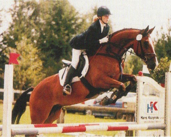 Pferd Caballero 48 (Hannoveraner, 1995, von Condor M)