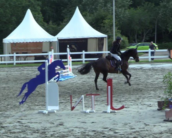 Reitturnier Mildstedt - Jumping Team Nord 2025