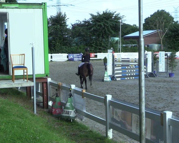 Reitturnier Mildstedt - Jumping Team Nord 2025