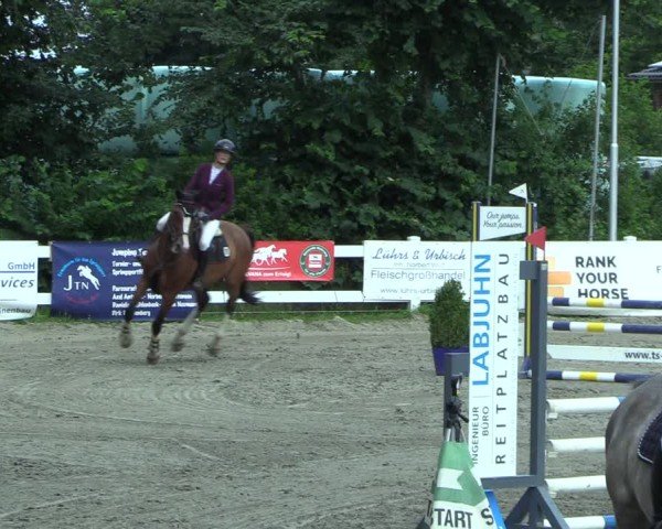 Reitturnier Mildstedt - Jumping Team Nord 2025