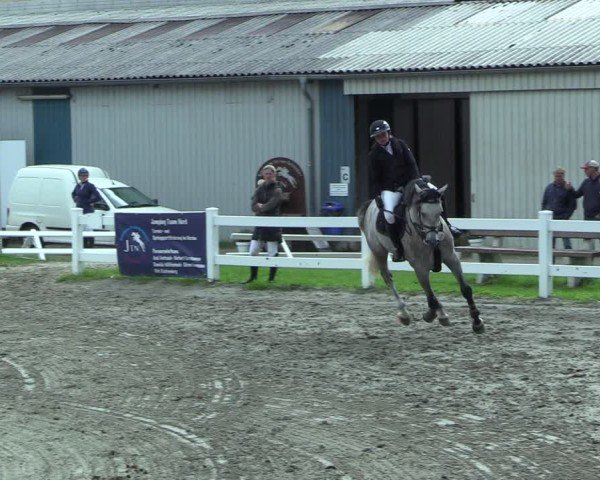 Reitturnier Mildstedt - Jumping Team Nord 2025