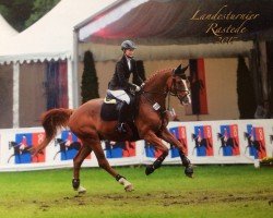 Springpferd Easy Step 2 (Hannoveraner, 2000, von Escudo I)