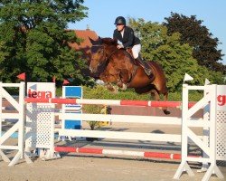 jumper Lucky Crazy Wendy (Hanoverian, 2012, from Lordanos)