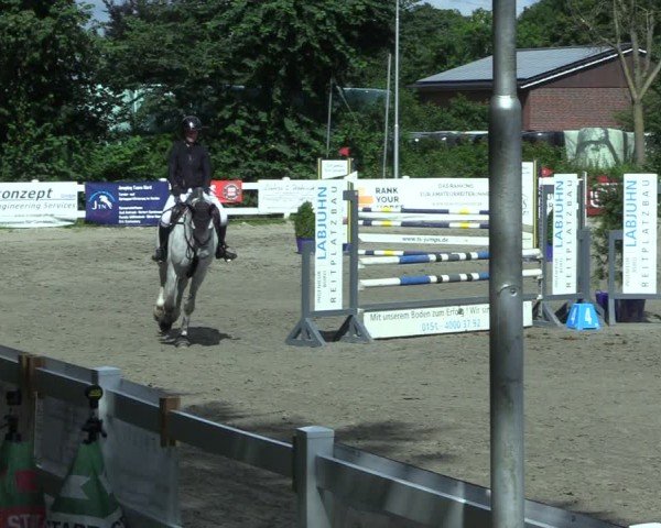 Reitturnier Mildstedt - Jumping Team Nord 2025