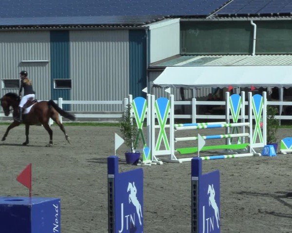 Reitturnier Mildstedt - Jumping Team Nord 2025