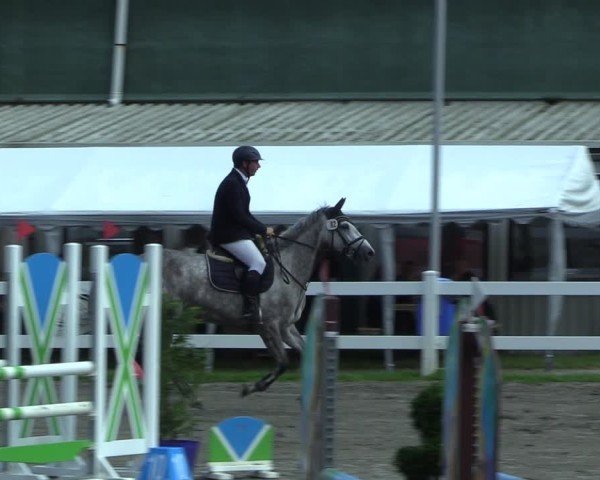 Reitturnier Mildstedt - Jumping Team Nord 2025