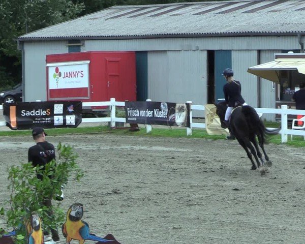 Reitturnier Mildstedt - Jumping Team Nord 2025