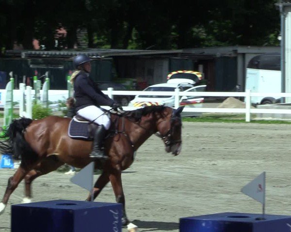 Reitturnier Mildstedt - Jumping Team Nord 2025