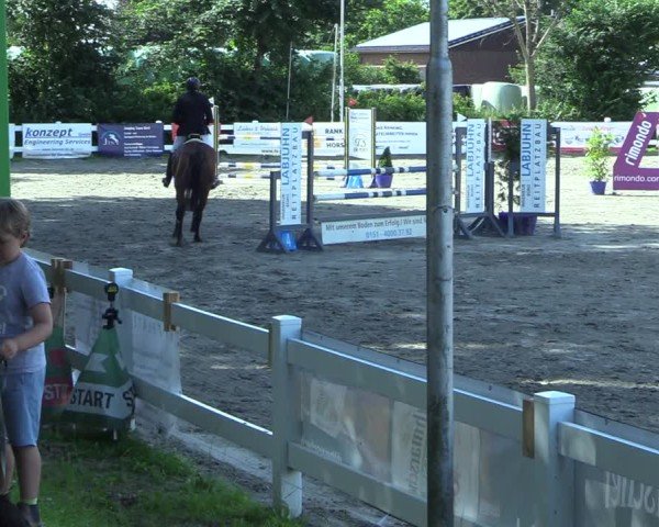 Reitturnier Mildstedt - Jumping Team Nord 2025