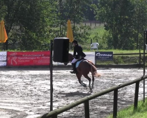 Erkrath - Uhlenhof 2014