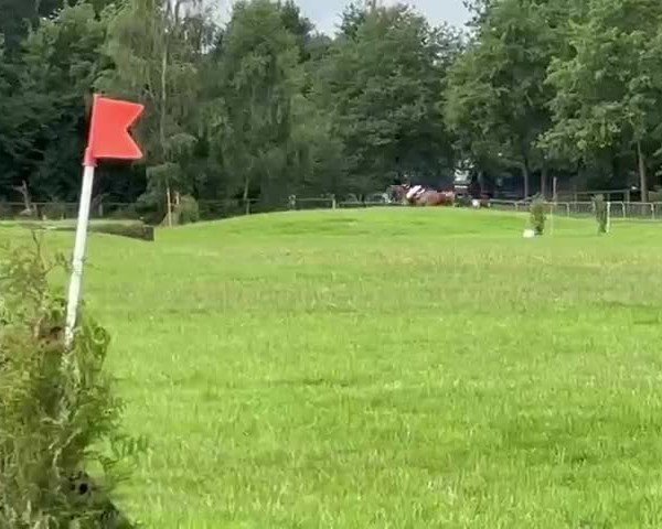 Video of Dori M