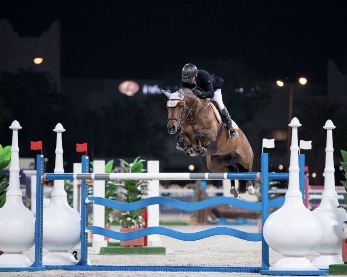 jumper Heavens Light H (Holsteiner, 2015, from Stanfour 4)