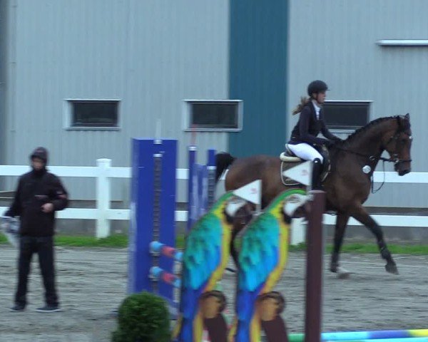 Reitturnier Mildstedt - Jumping Team Nord 2025