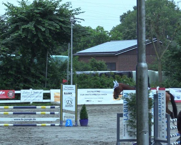 Reitturnier Mildstedt - Jumping Team Nord 2025