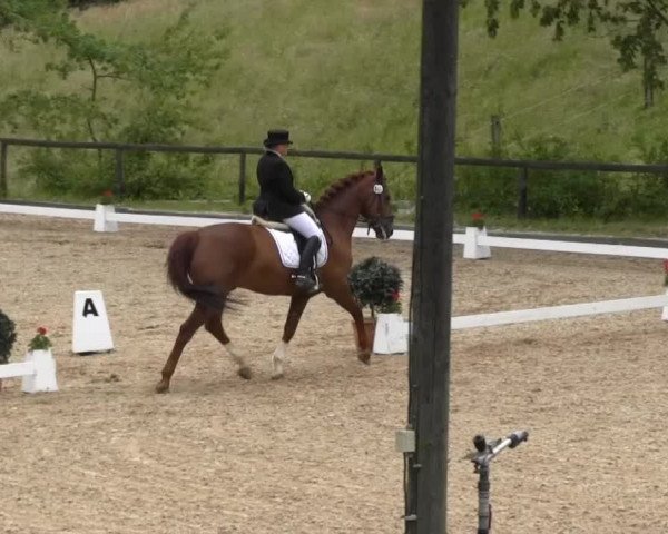 Erkrath - Uhlenhof 2014