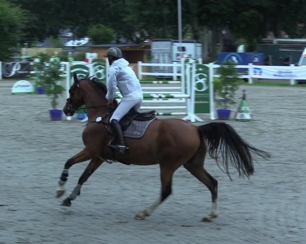 Reitturnier Mildstedt - Jumping Team Nord 2025