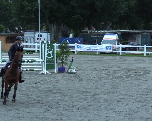 Reitturnier Mildstedt - Jumping Team Nord 2025