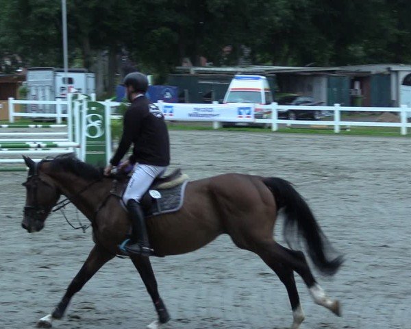 Reitturnier Mildstedt - Jumping Team Nord 2025