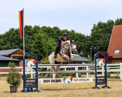 Springpferd Glorious Prince (Connemara-Pony, 2009, von Garryhinch Millrace)