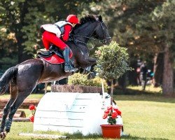 dressage horse Ronja Appelt (unknown, 2004)